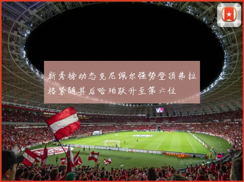 新秀榜动态克尼佩尔强势登顶弗拉格紧随其后哈珀跃升至第六位