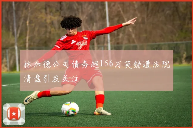 林加德公司债务超156万英镑遭法院清盘引发关注