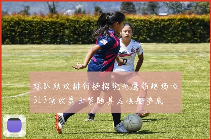 球队助攻排行榜揭晓老鹰领跑场均313助攻爵士紧随其后快船垫底