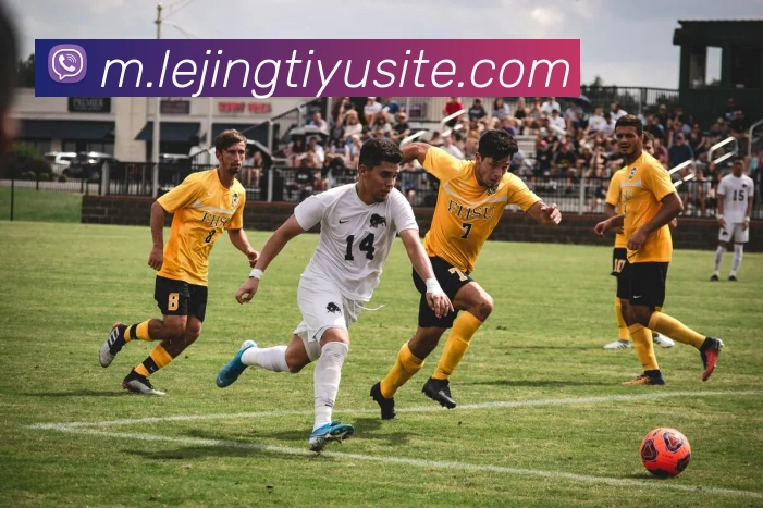 App Interface Preview